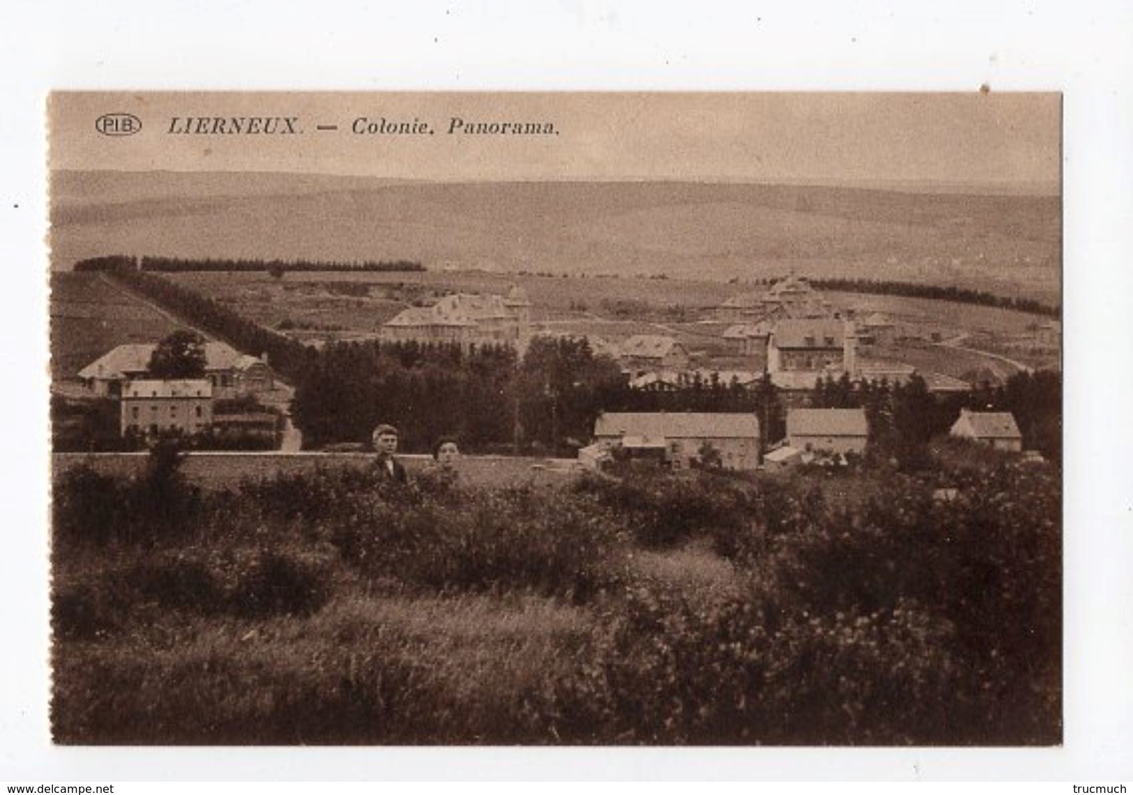 42 - LIERNEUX  - Colonie - Panorama - Lierneux