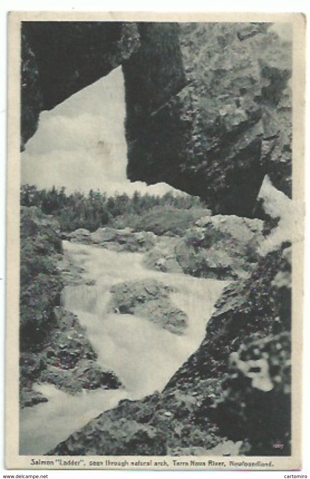 Amérique - Terre Neuve Et Labrador - Canada -  Newfoundland - Salmon Ladder - St. John's