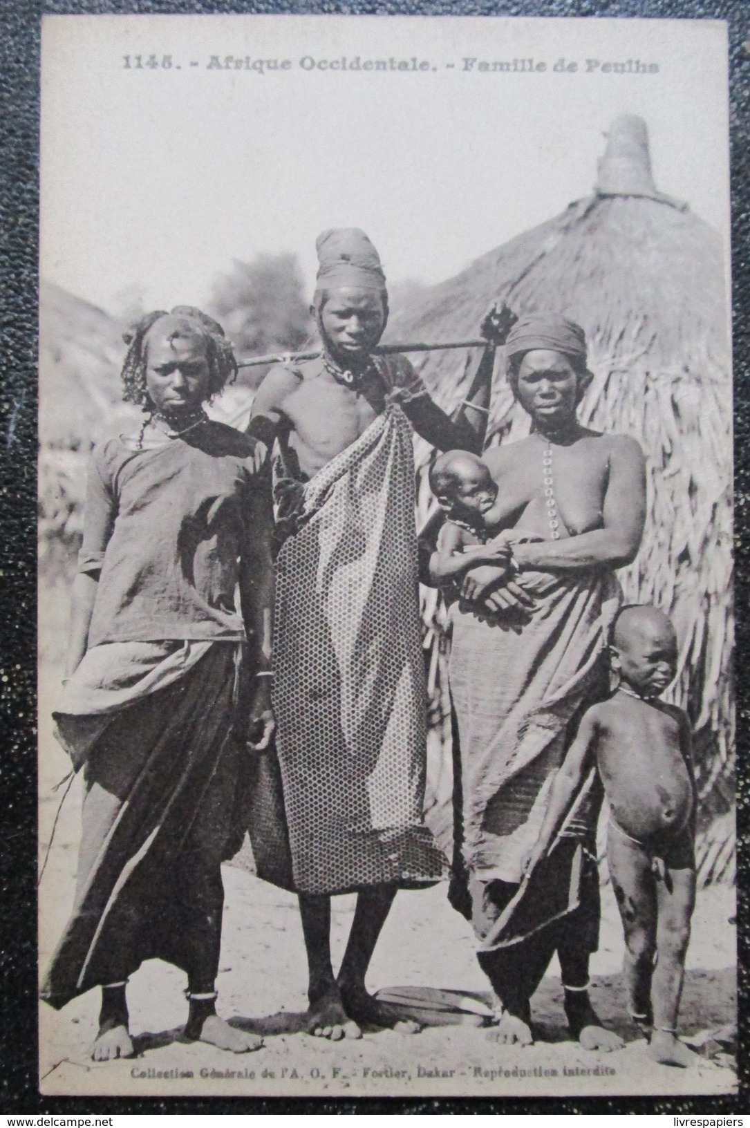 Afrique Occidentale Famille Peulhs Cpa Fortier - Sénégal