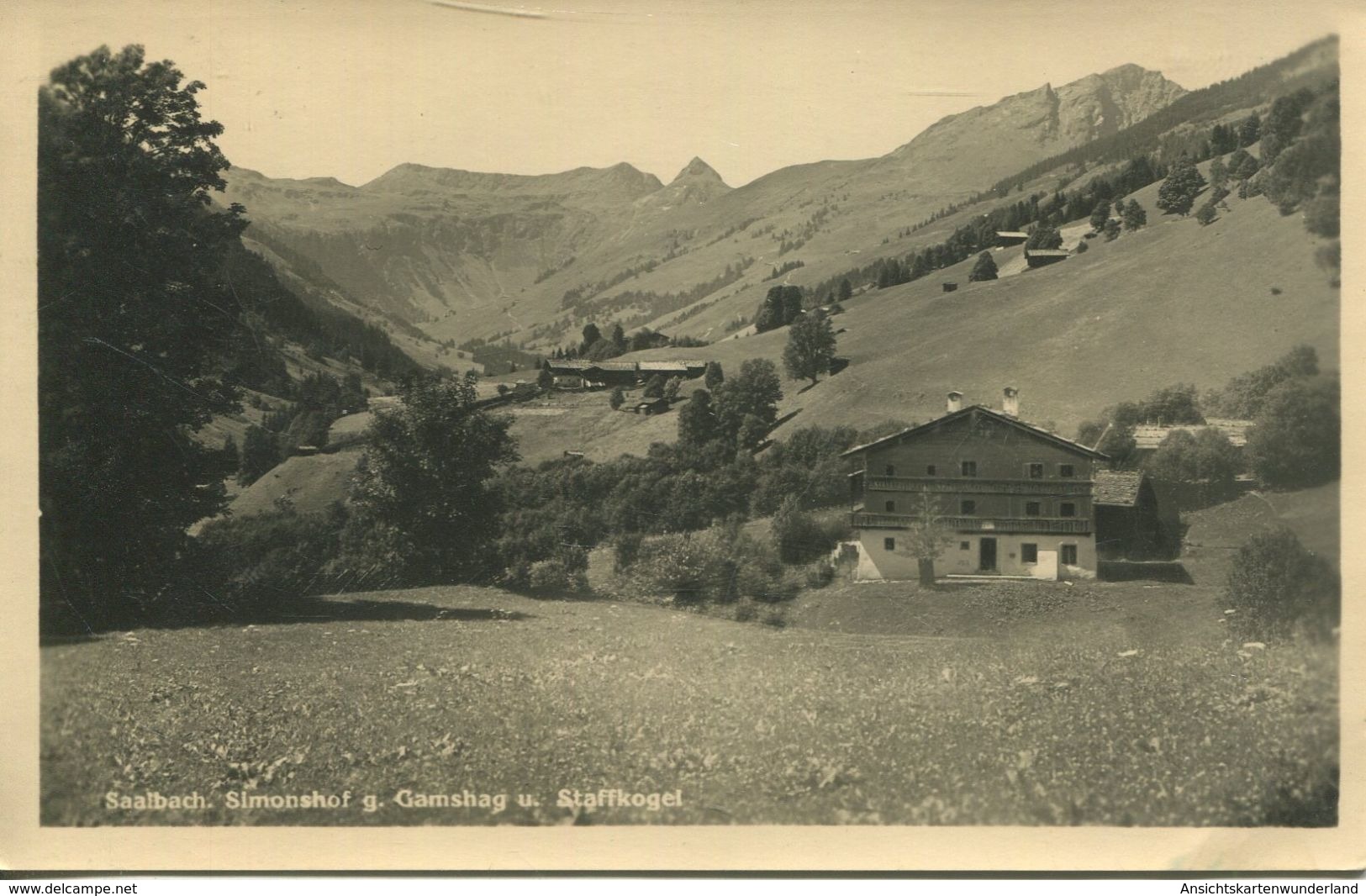 Saalbach - Simonshof G. Gamshag U. Staffkogel 1950 (002817) - Saalbach