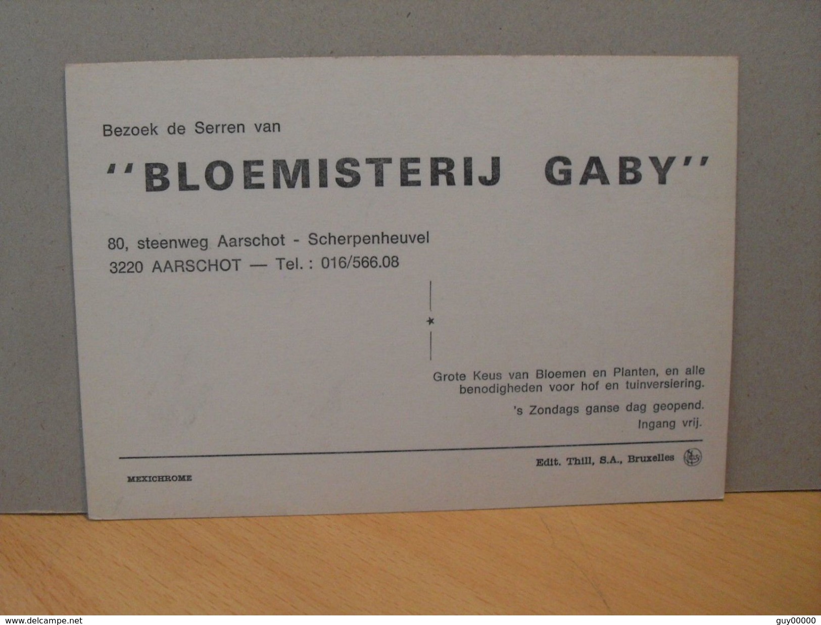 CP De Bloemisterij Gaby - Aarschot - Scherpenheuvel - Aarschot