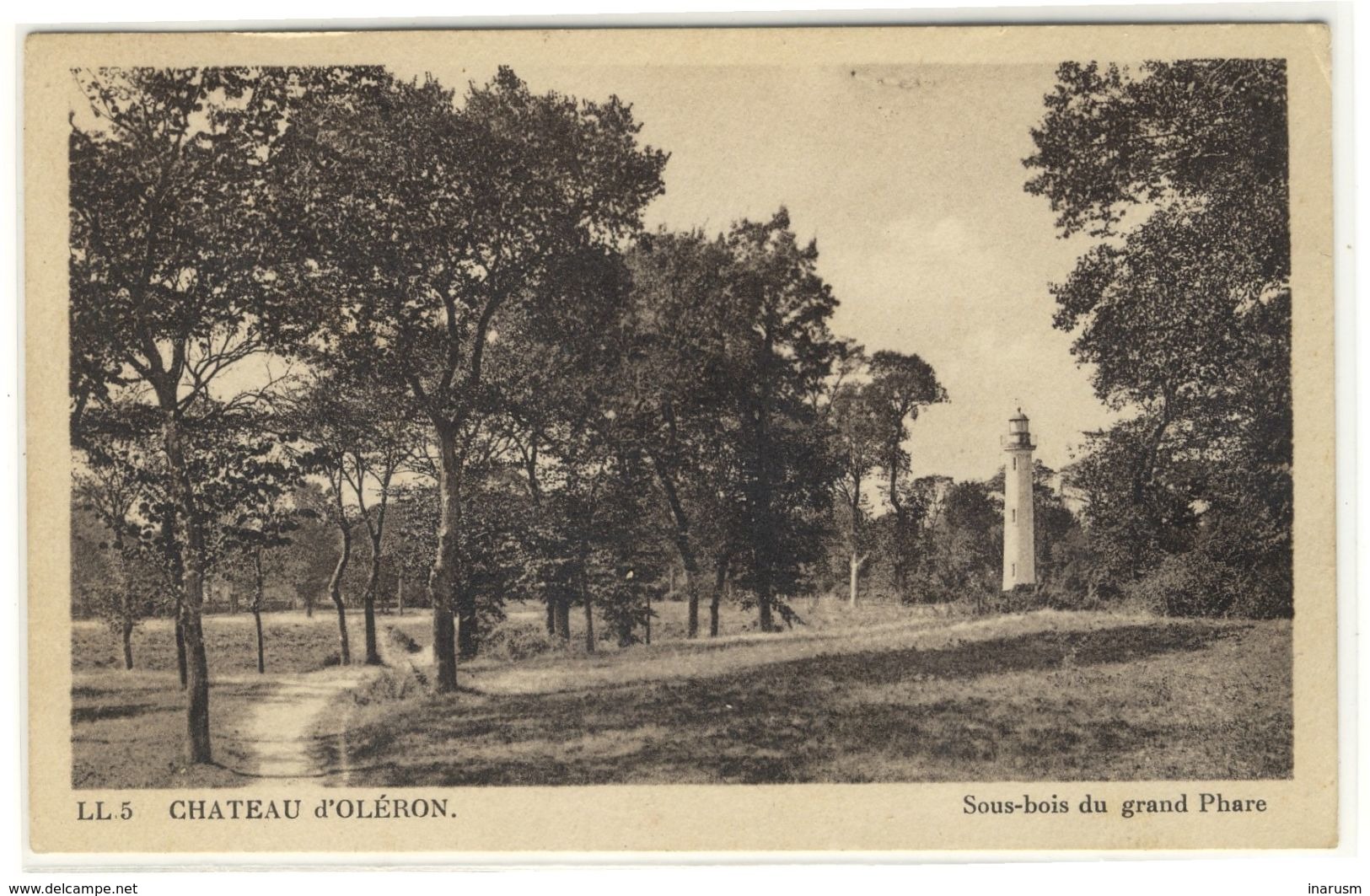 ILE D'OLERON  -  CHATEAU D'OLERON  -  Le Sous Bois Du Grand Phare   -  Ed. LL, N° 5 - Ile D'Oléron