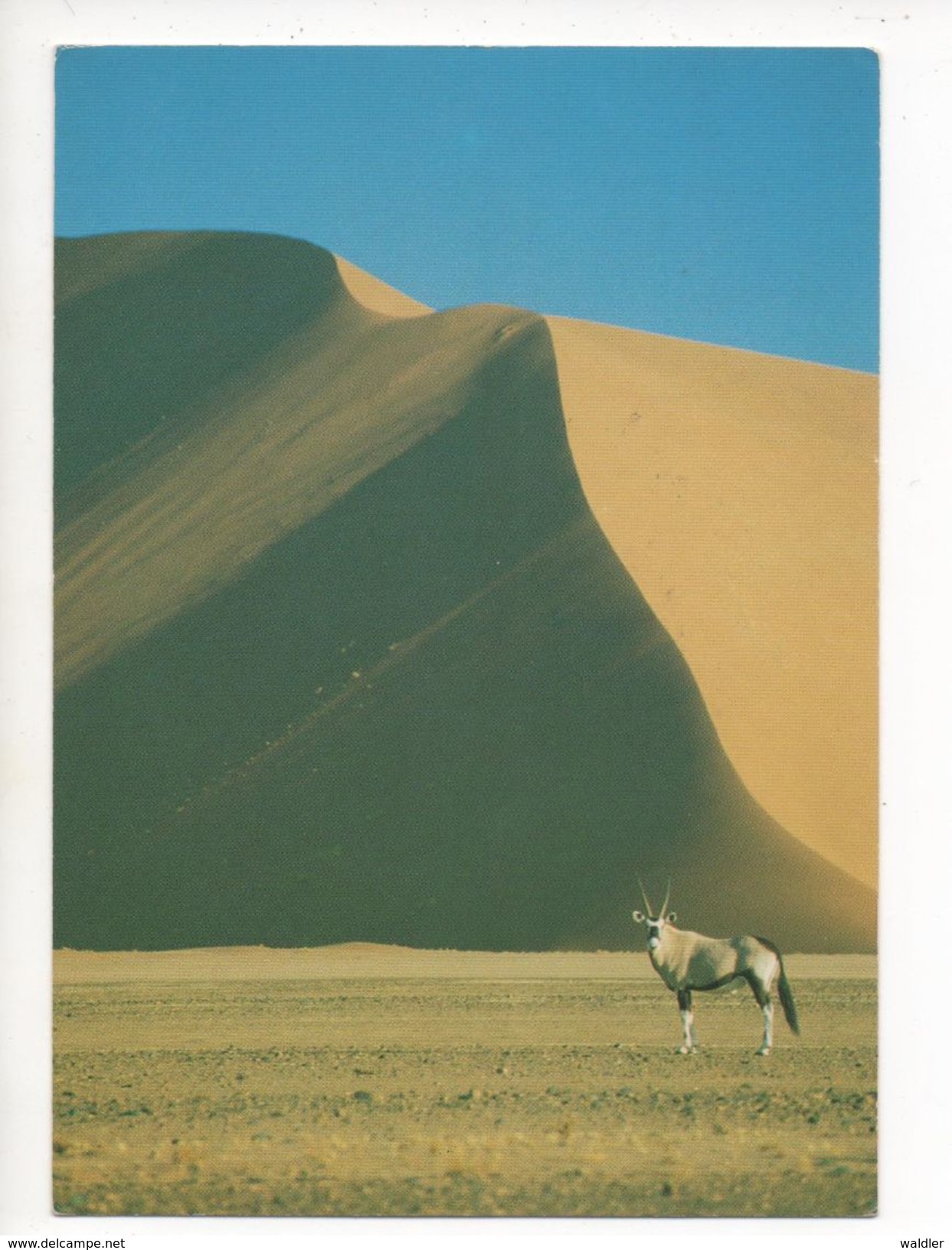 SUSSUSVLEI   1990 - Namibie