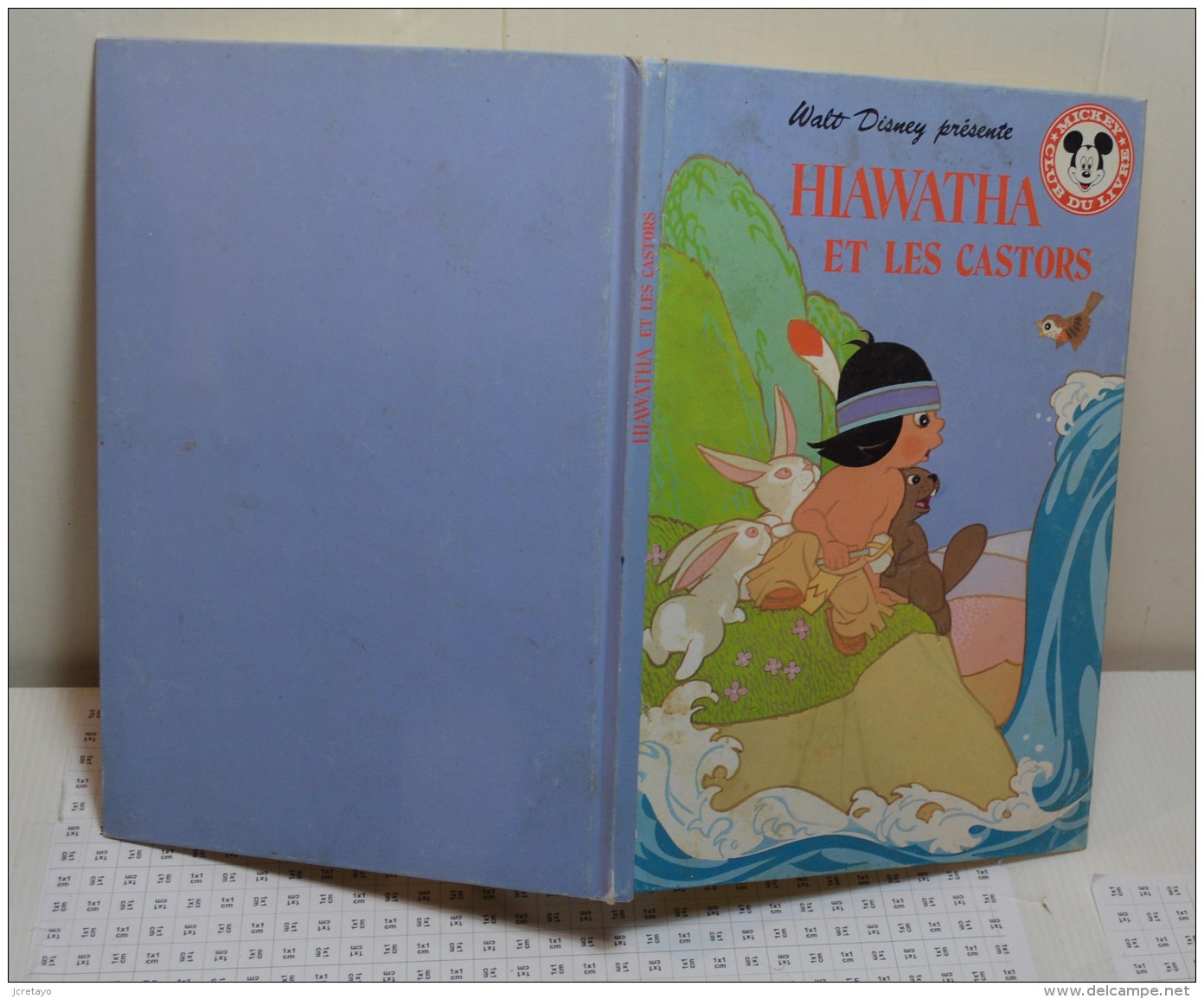 Walt Dysney Présente: Hiawatha Et Les Castors - Disney