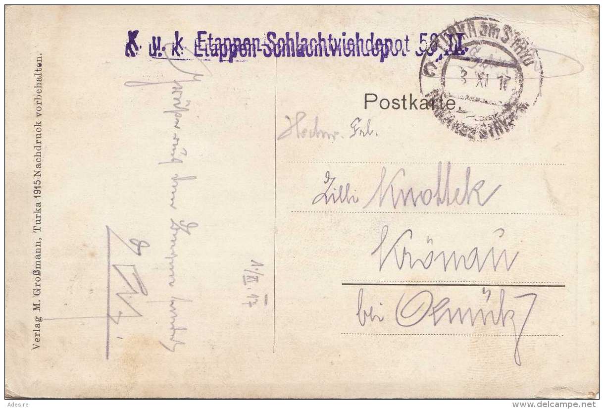 HAJASD (Ukraine) 1917 - Karpathen Des Uzsoker Passes, Sonderstempel K.u.k. Etappen-Schlachtviehdepot 58 II, Karte ... - Ucraina