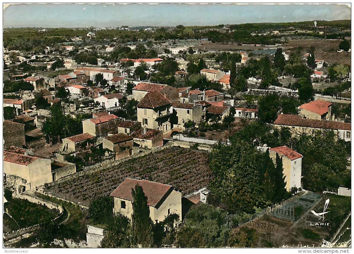 30 Aigues Vives   EN AVION AU-DESSUS DE ...GARIGOUILE   écrite - Aigues-Vives