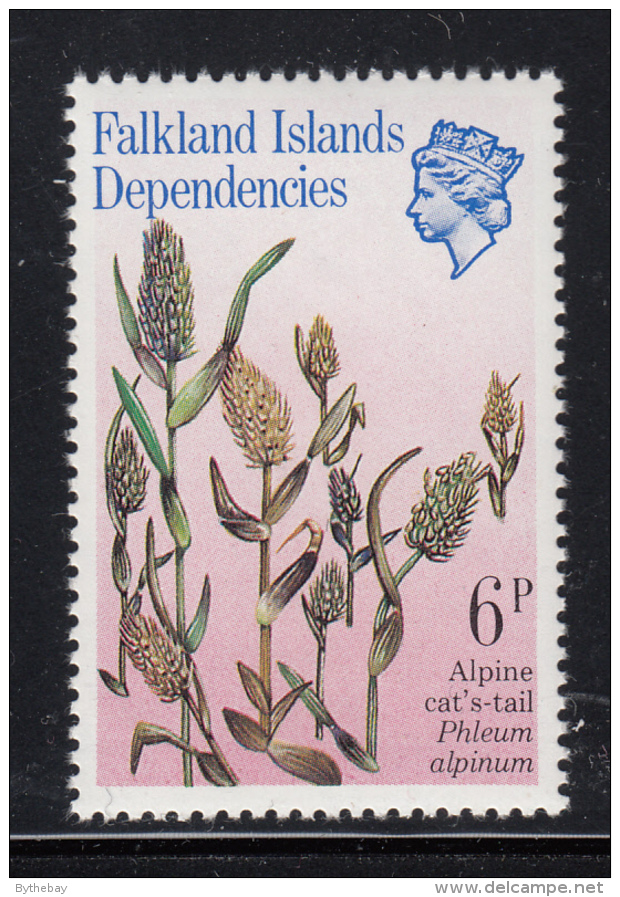 Falkland Islands Dependencies 1981 MNH Scott #1L54 6p Alpine Cat's-tail - Falkland