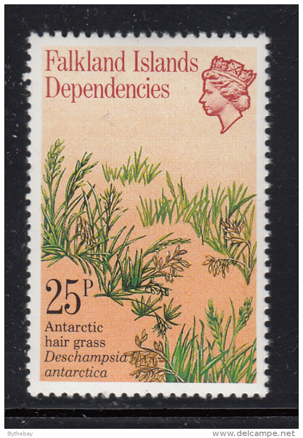 Falkland Islands Dependencies 1981 MNH Scott #1L58 25p Antarctic Hair Grass - Falkland