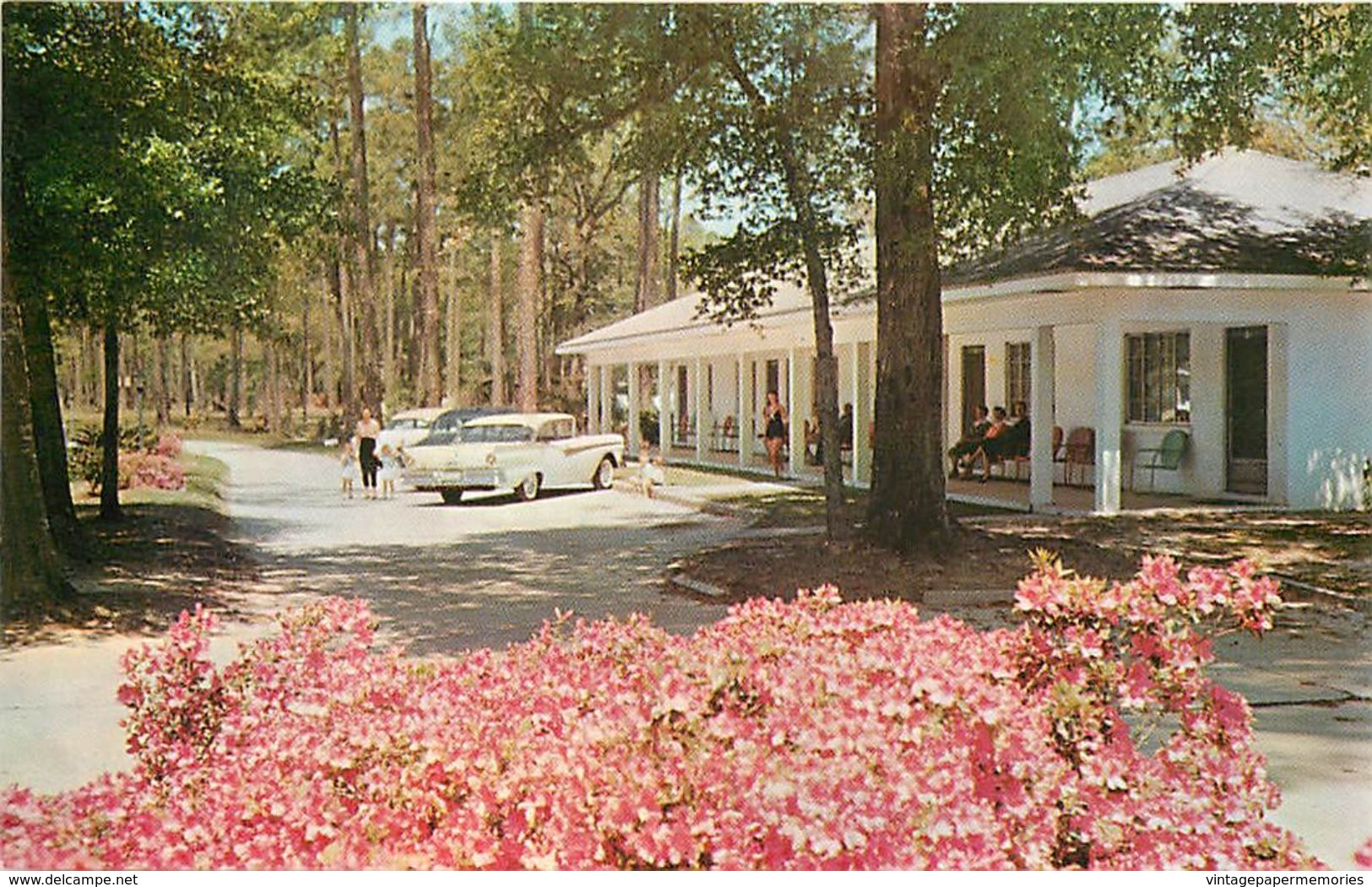 276631-Mississippi, Biloxi, Sea Gull Court, 50s Car, C.T. Hinman By Dexter Press No 10035 - Other & Unclassified