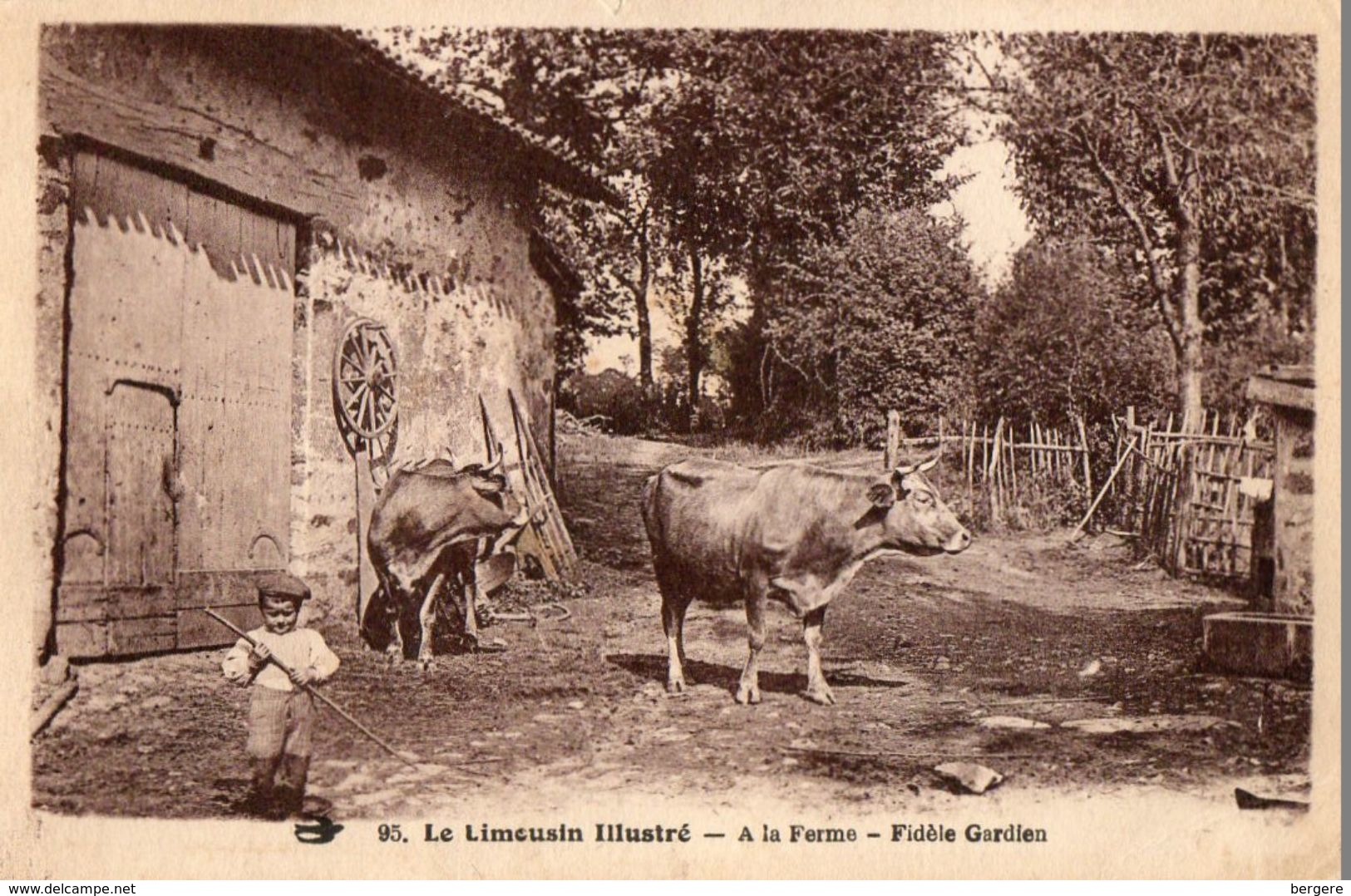 CPA Le Limousin Illustré. à La Ferme, Fidéle Gardien, Vaches, Jeune Garçon. - Limousin