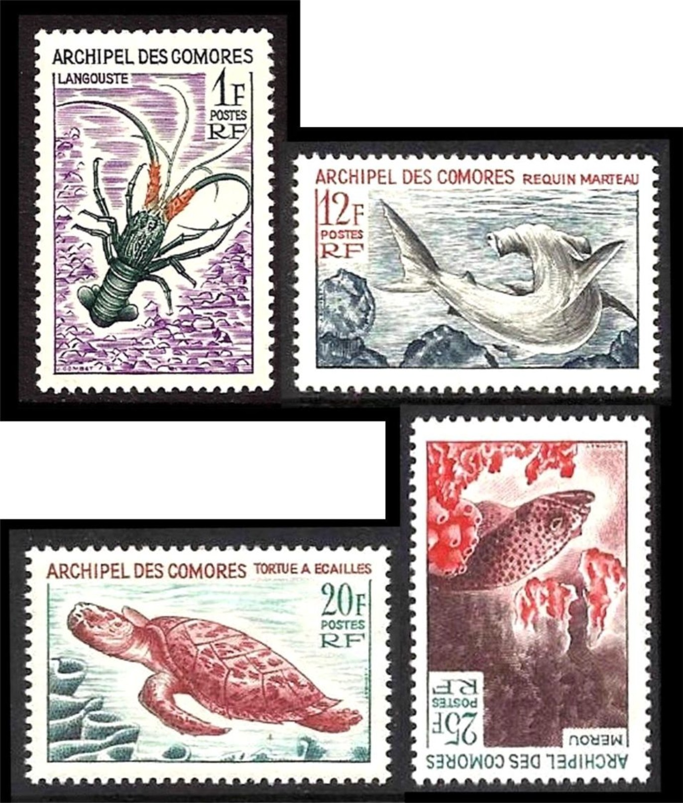 COMORES 1966 Faune Marins. N° 35 à 38 * * Neufs Lot - 2251 - Nuevos