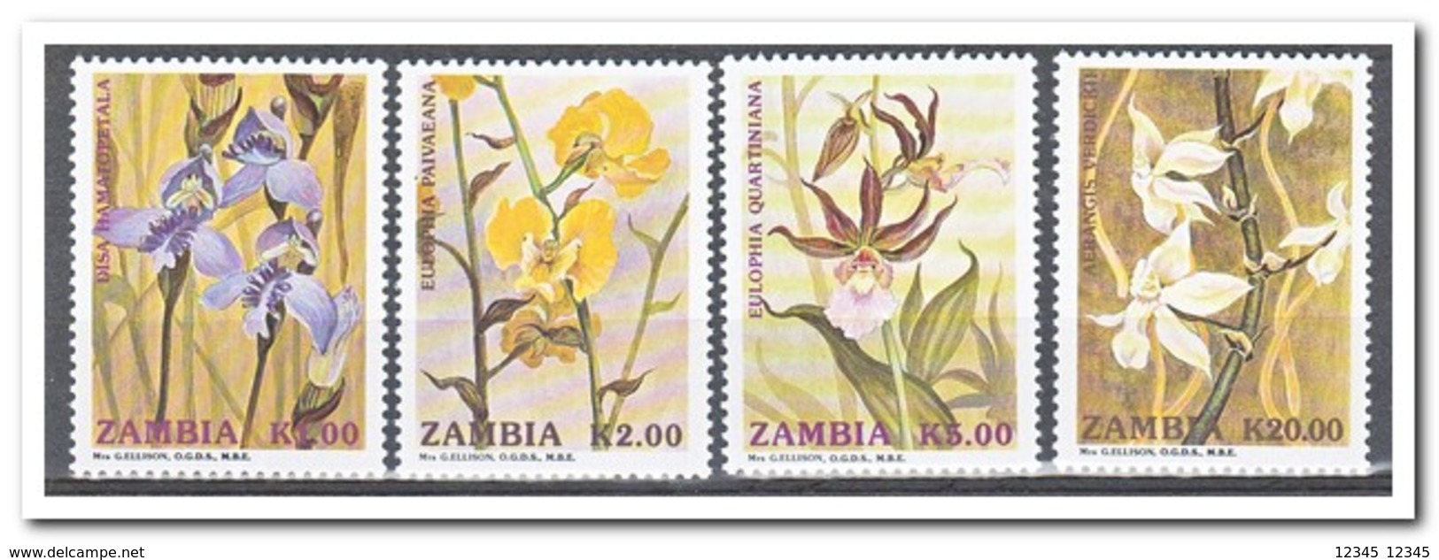 Zambia 1992, Postfris MNH, Flowers, Orchids - Zambia (1965-...)