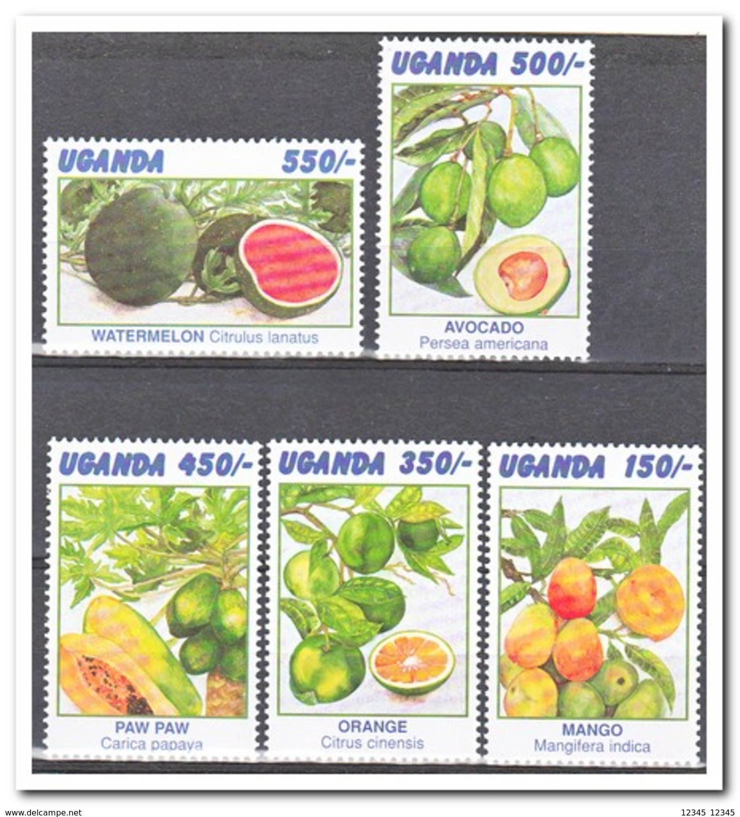 Uganda 1996, Postfris MNH, Fruit - Ouganda (1962-...)