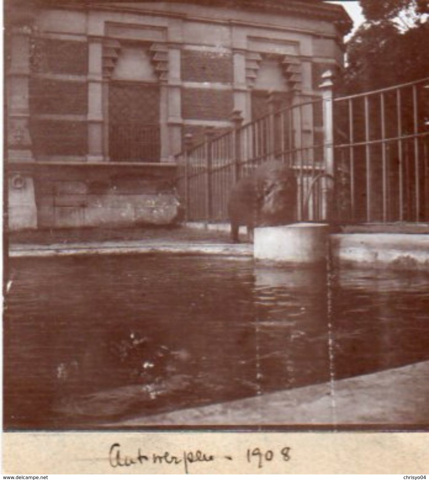 8-65Cu   Photo Belgique Antwerpen Hippopotame Bassin En 1908 - Antwerpen