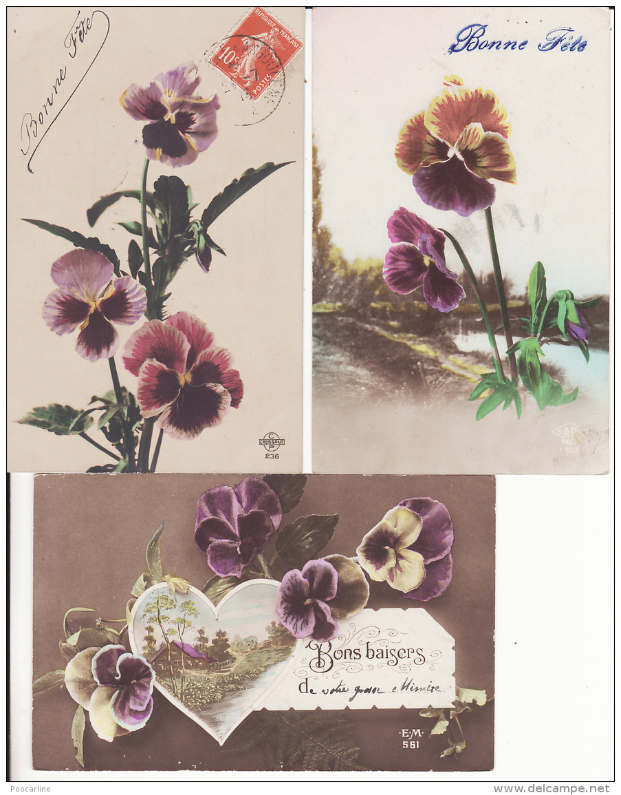 Fleurs, 3 Cartes  Anciennes: Pensées, Pansies ,2 Scans - Autres & Non Classés