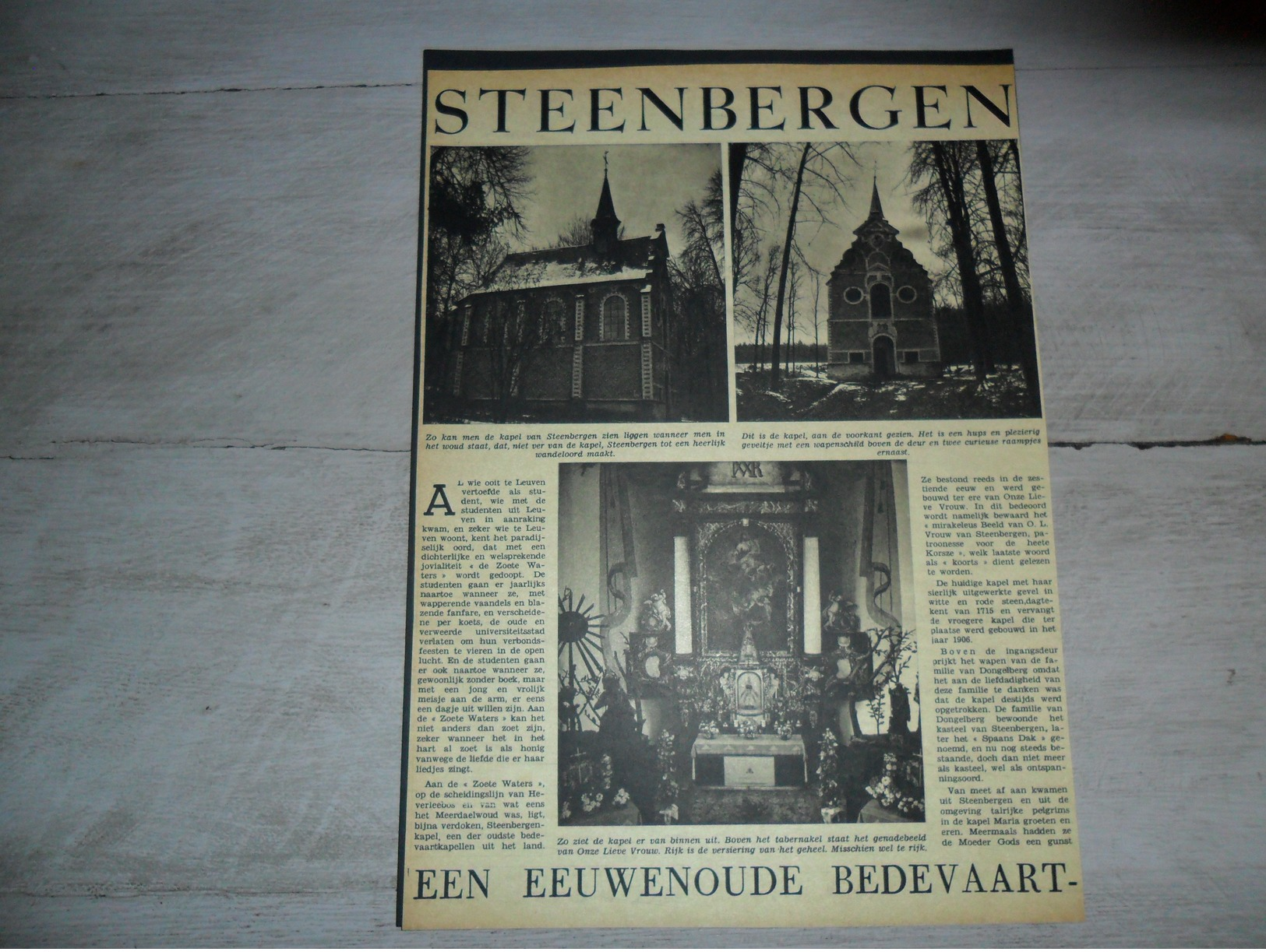 Origineel Knipsel ( 965 ) Uit Tijdschrift :  Steenbergen Bij Leuven  Louvain  2 Blz.  1947 - Non Classés