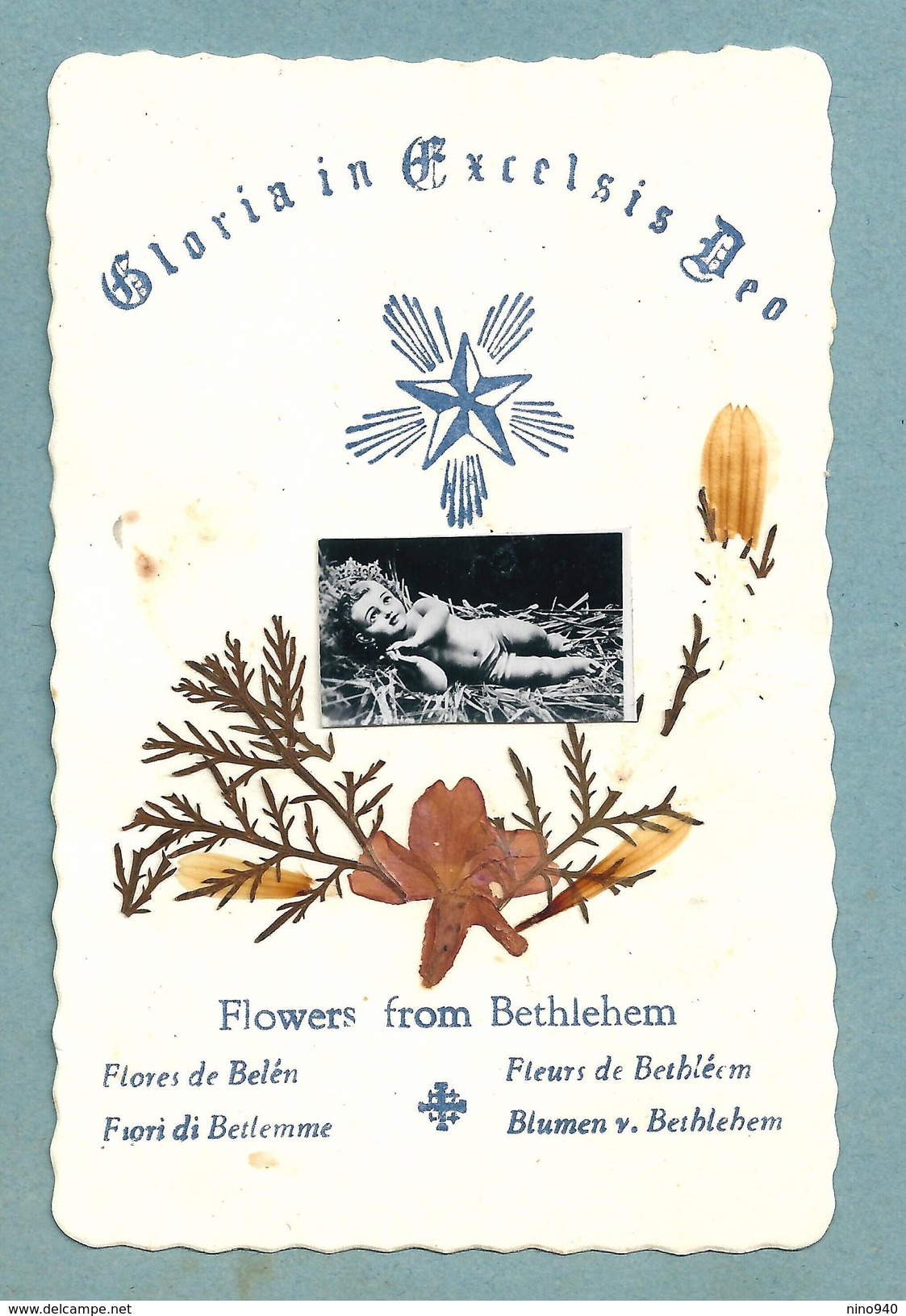 FLOWERS FROM BETHLEHEM - Mm. 68 X 102 - Religión & Esoterismo