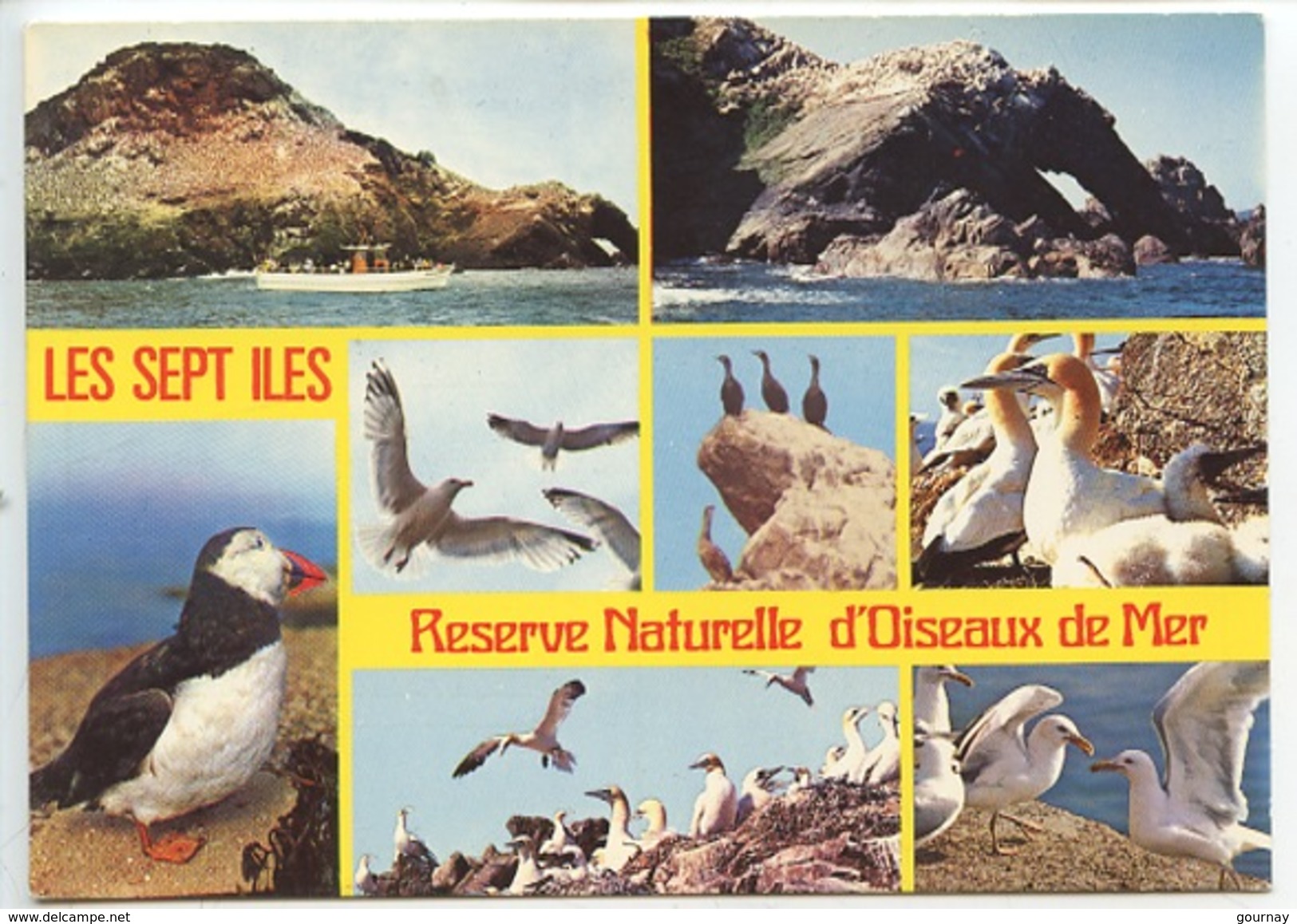 Les Sept Iles Réserve Naturelle D'oiseaux De Mer Multivues N°2423 Cp Vierge Macareux Bassan Guillemot Petrel Cormoran Go - Oiseaux