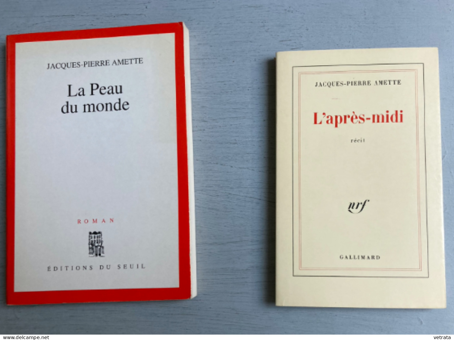 2 Livres De Jacques-Pierre Amette : L'Après-Midi (Gallimard) - La Peau Du Monde (Seuil) - Paquete De Libros