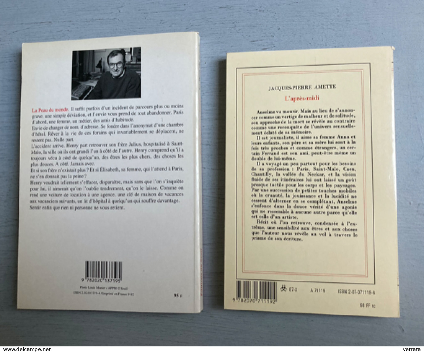 2 Livres De Jacques-Pierre Amette : L'Après-Midi (Gallimard) - La Peau Du Monde (Seuil) - Paquete De Libros