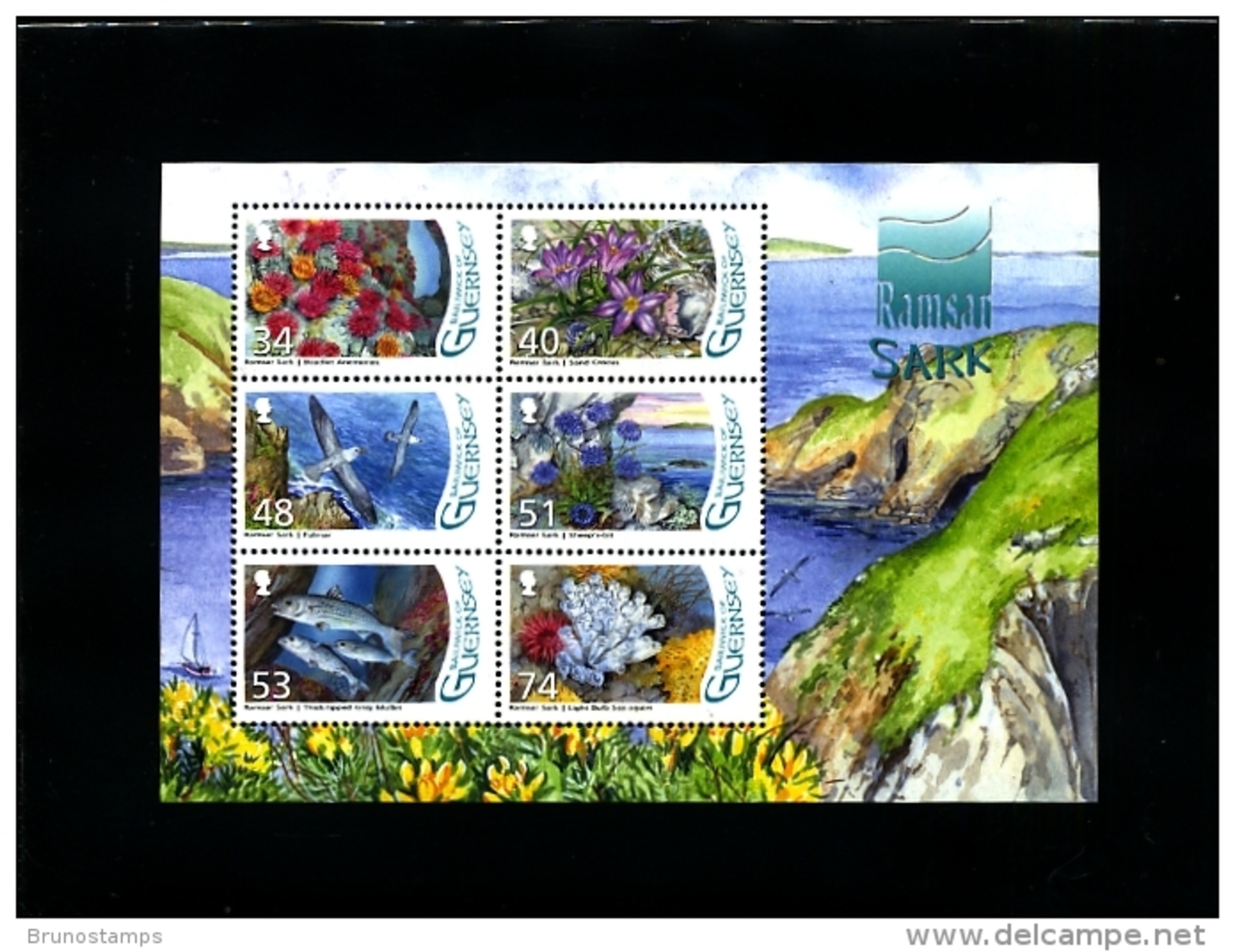 GUERNSEY - 2008  RAMSAR  MS   MINT NH - Guernesey