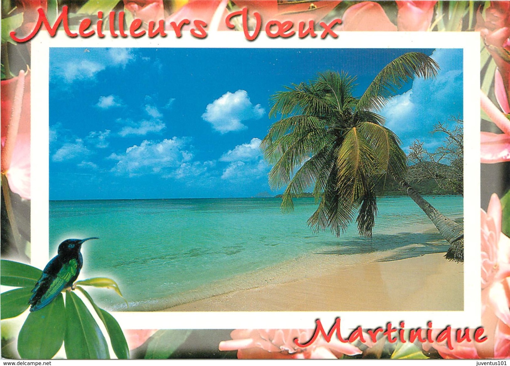 CPSM Martinique-Le Marin     L2521 - Le Marin