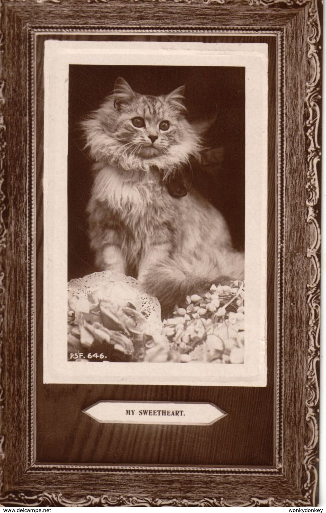 Cats -  My Sweetheart.       RPPC.   1909. - Katten