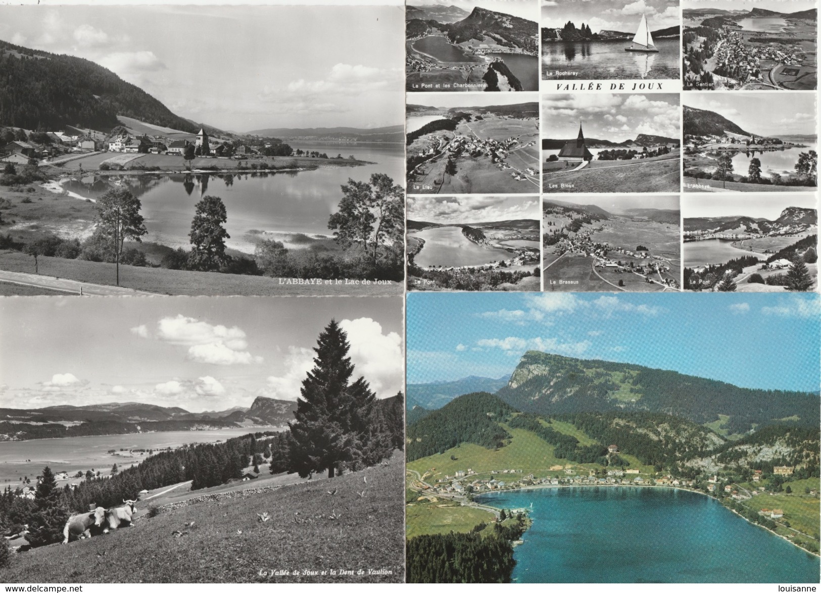 18 / 1 / 12  -   LOT  DE  22  C P M  DU  LAC  DE  JOUX  ET  ENVIRONS  ( 39 )  Toutes Scanées - 5 - 99 Cartes