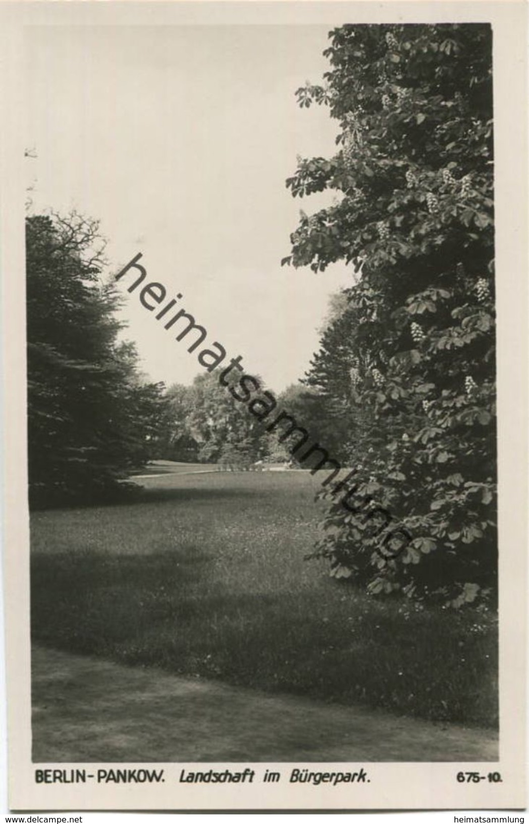 Berlin Pankow - Landschaft Im Bürgerpark - Foto-AK 30er Jahre - Verlag Ludwig Walter Berlin - Pankow