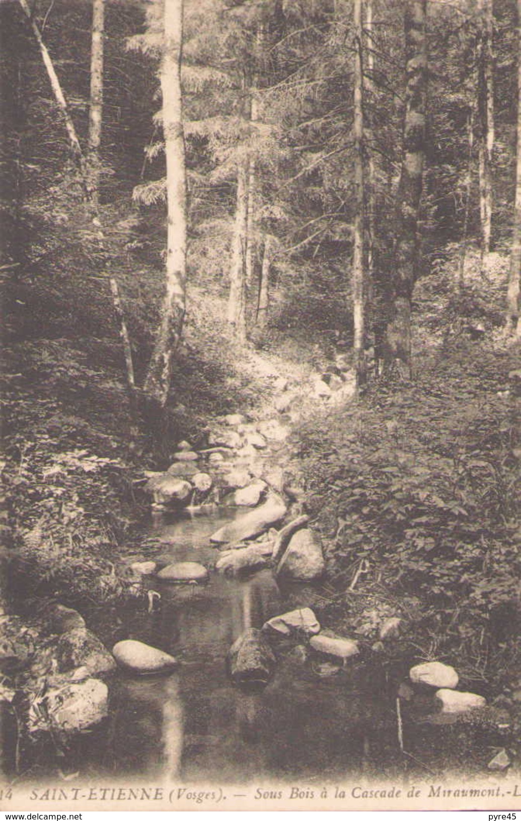 SAINT ETIENNE SOUS BOIS A LA CASCADE DE MIRAUMONT - Saint Etienne De Remiremont