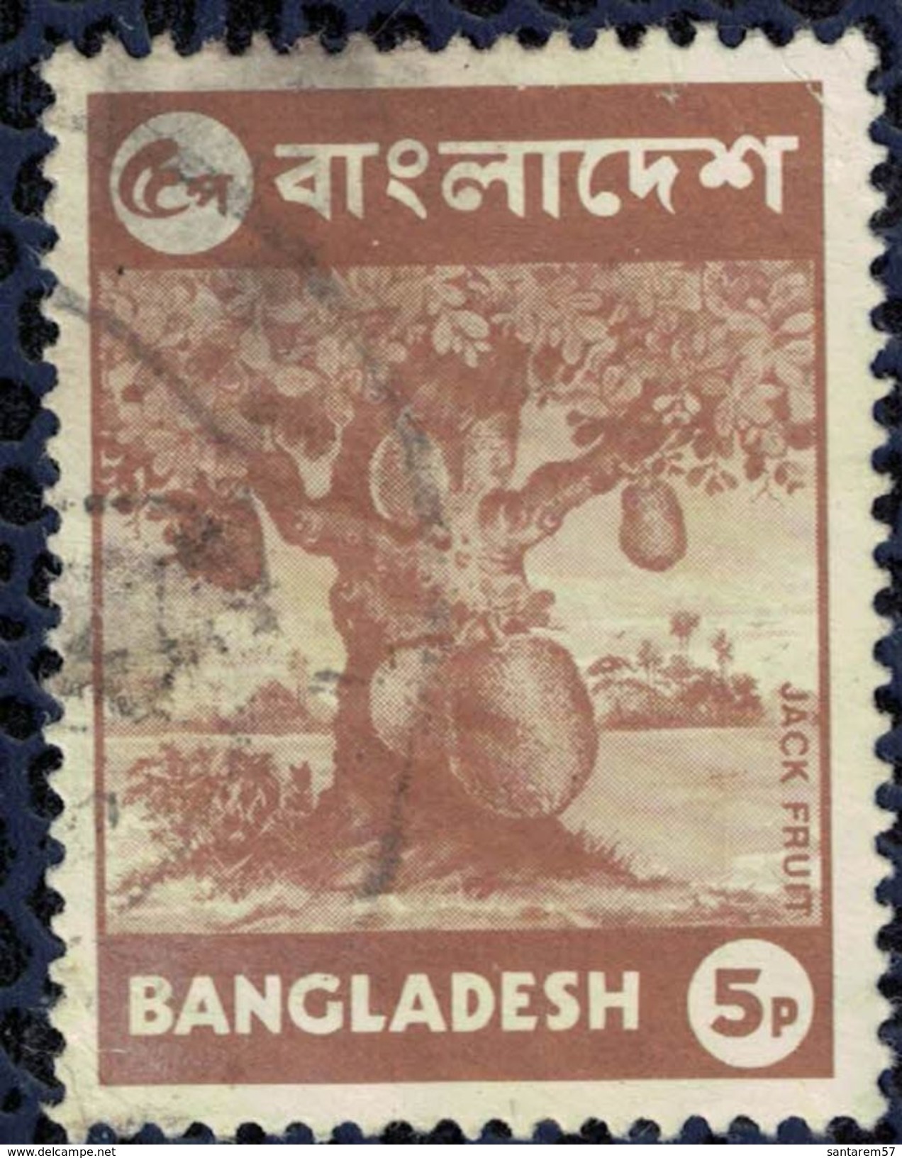 Bangladesh 1973 Oblitéré Used Arbre Artocarpus Heterophyllus Jacquier Jack Fruit Tree SU - Bangladesh