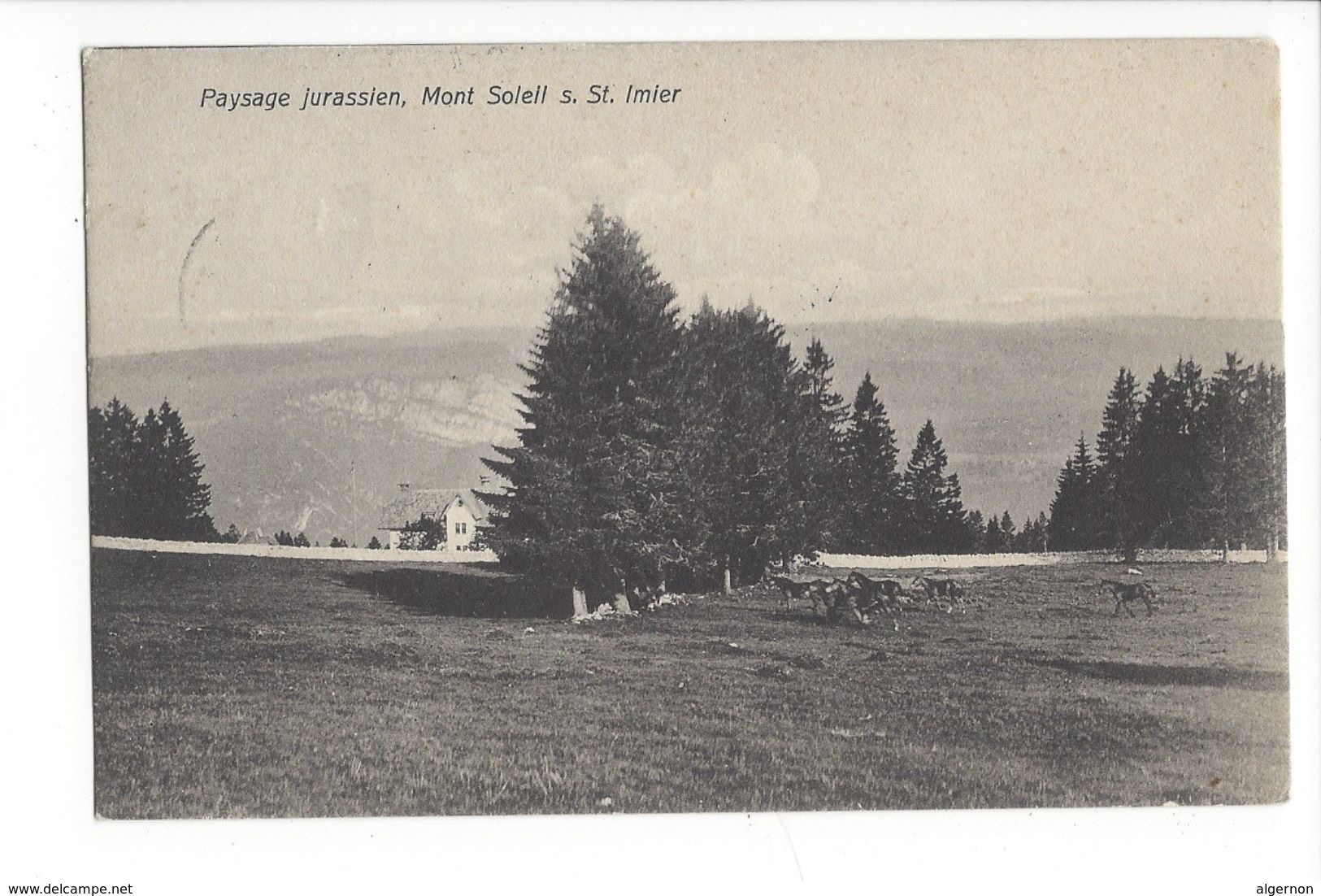 18931 -  Paysage Jurassien Mont Soleil St.Imier - Autres & Non Classés