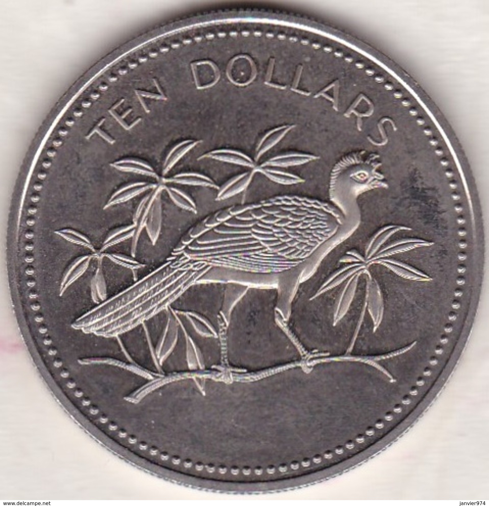 Belize. 10 Dollars 1975. Great Curassow . Copper-nickel . KM# 45 - Belize