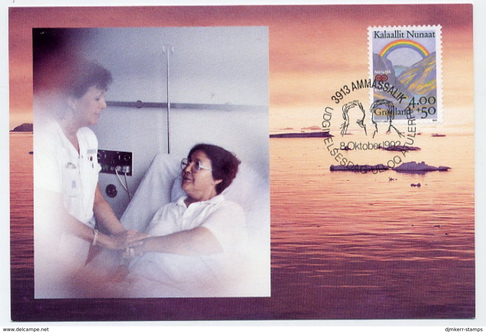 GREENLAND 1992 Anti-cancer On Maximum Card.  Michel 228 - Cartas Máxima