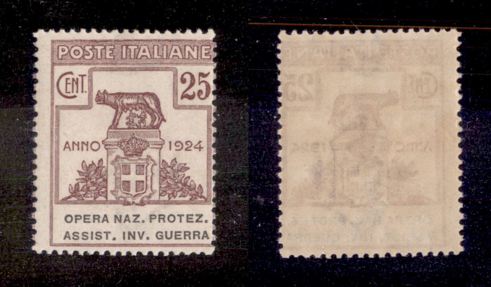 10721 REGNO - PARASTATALI - 1924 - 25 Cent Opera Naz. Protez. Assist. Inv. Guerra (52) - Nuovo Con Gomma (50) - Other & Unclassified