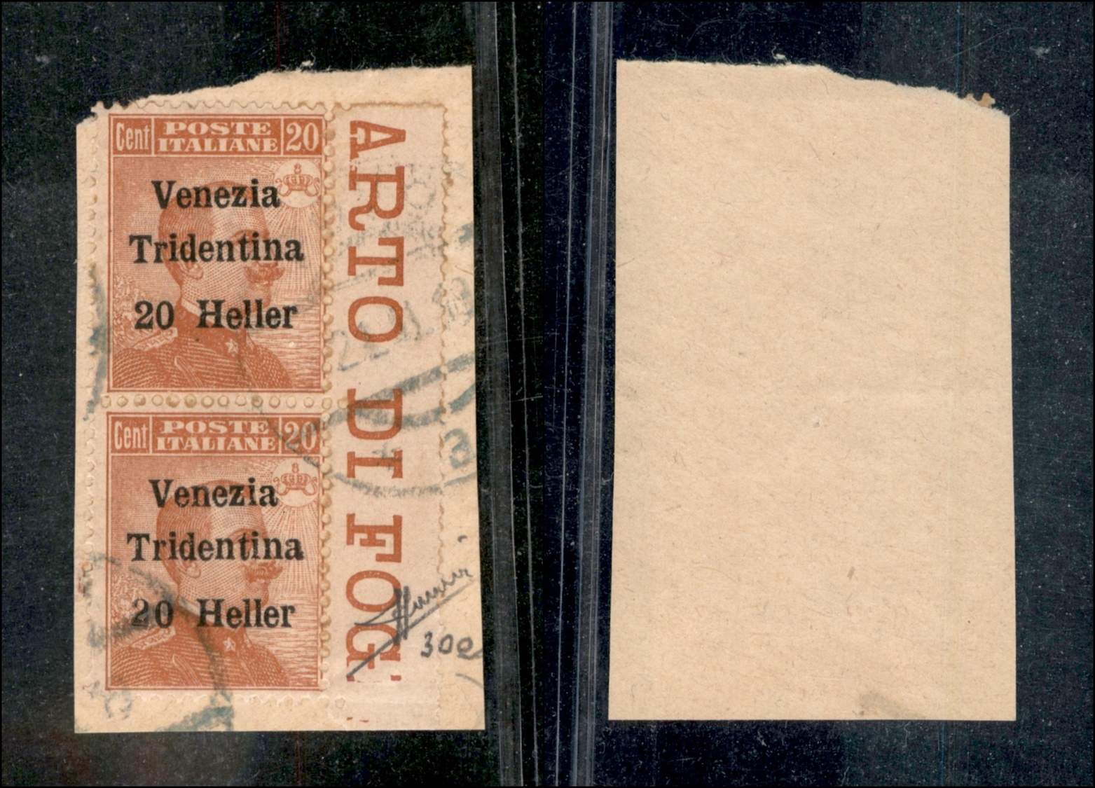 10941 OCCUPAZIONI - TRENTINO - 1918 - Coppia Verticale Del 20 Heller Su 20 Cent Michetti (30+30e) - 2 Stampigliato A Man - Autres & Non Classés