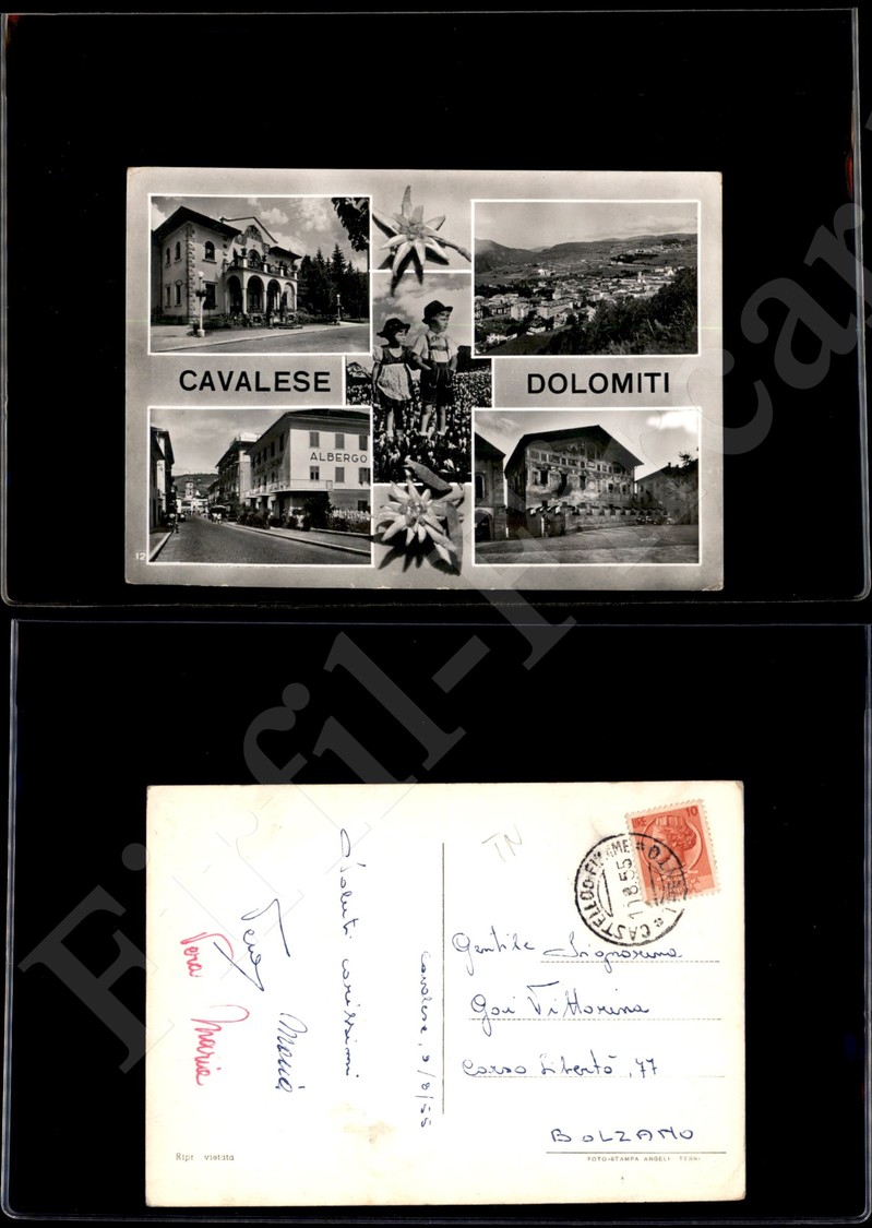 12233 Cartoline - Paesaggistiche - Trentino Alto Adige - Cavalese (TN) - 4 Immagini - 11.8.1955 FG - Autres & Non Classés