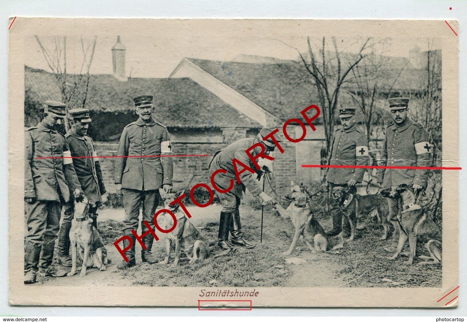 CHIENS Secouristes-Croix Rouge-NON SITUEE-CARTE Imprimee Allemande-Guerre 14-18-1 WK-Militaria-Feldpost - Guerre 1914-18