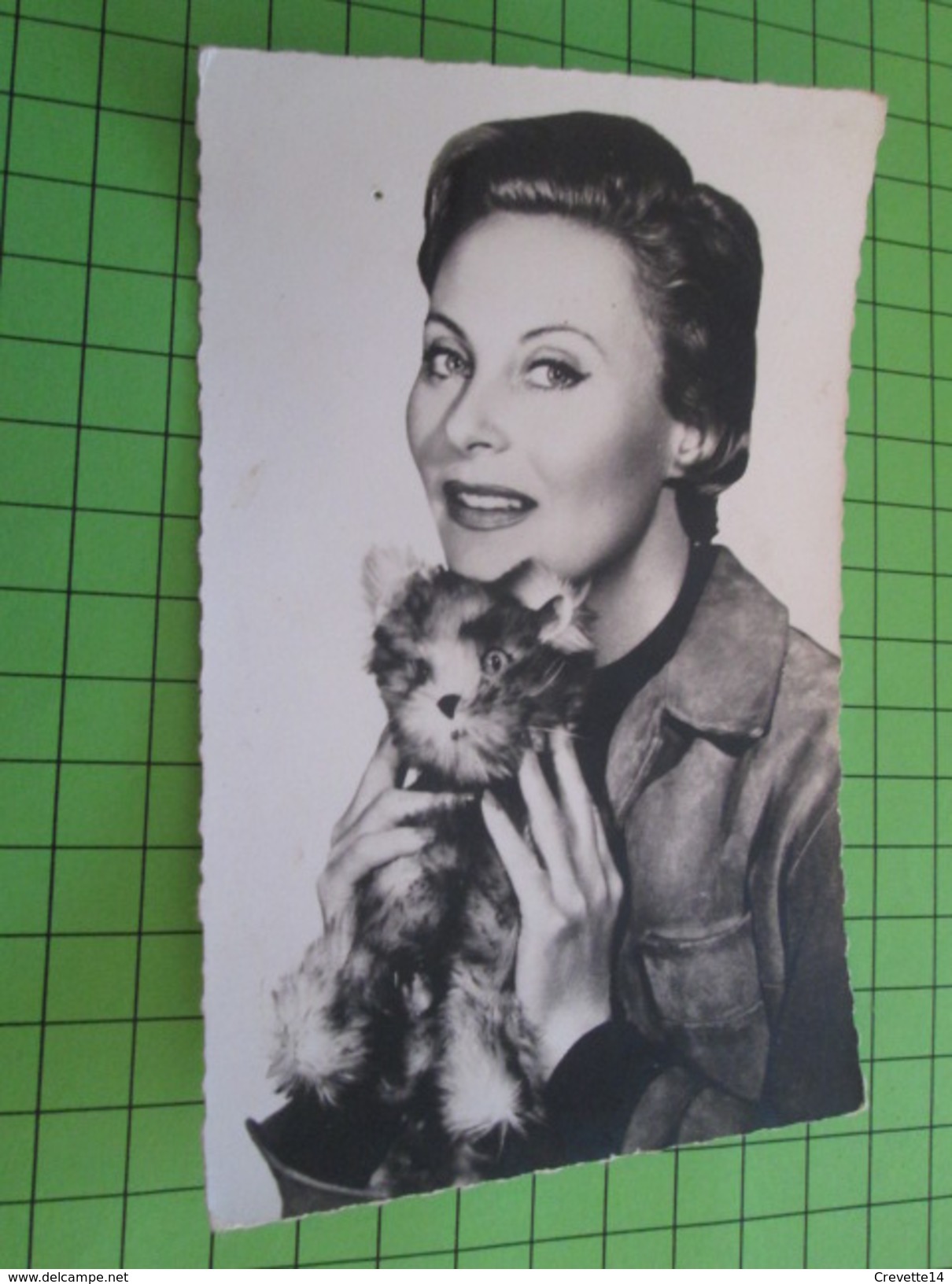 CARTE POSTALE ANNEES 50/60  ACTRICE FRANCAISE : MICHELE MORGAN Avec Un Chat En Peluche, D'après Photo Sam Levin - Entertainers