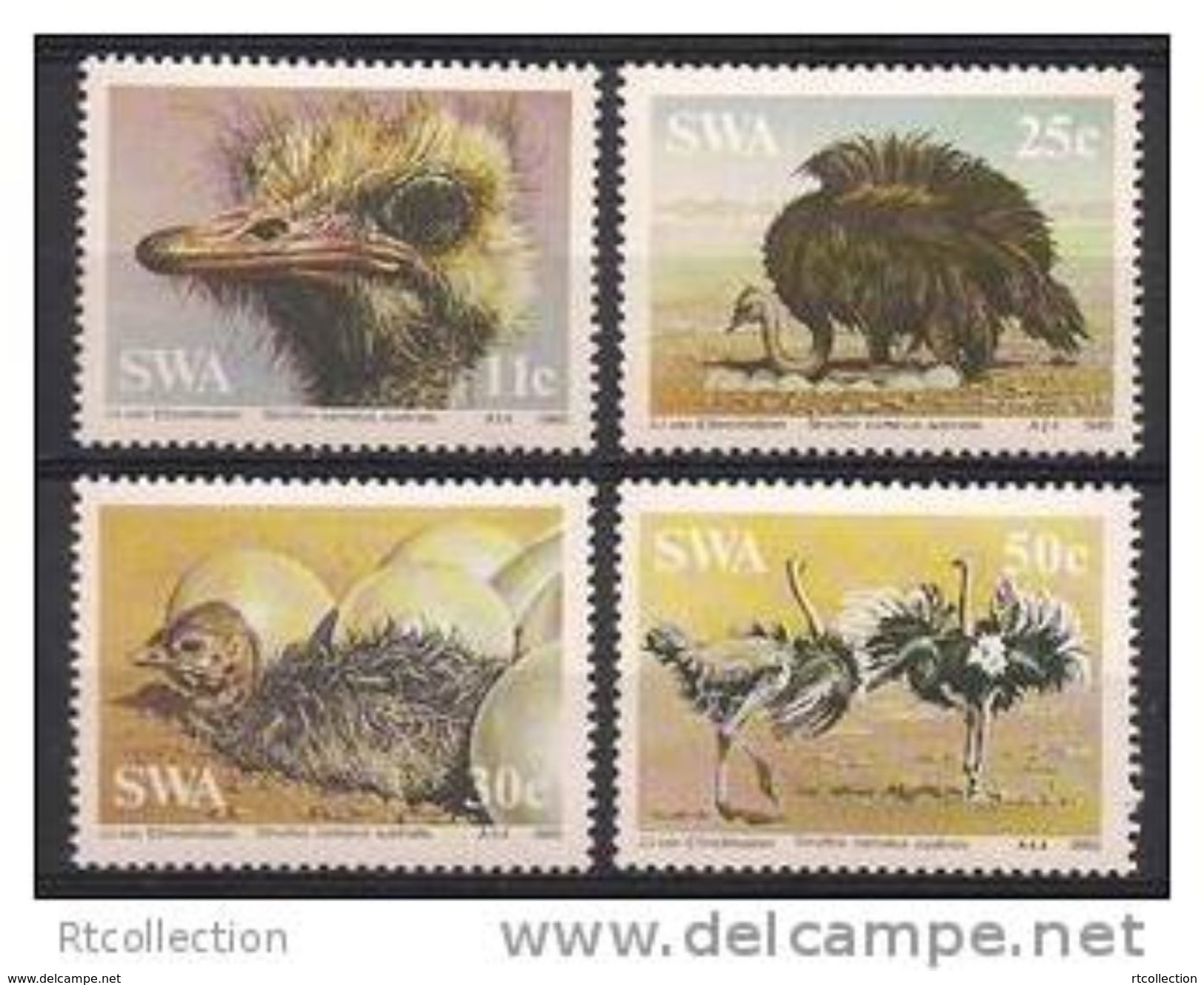 Nambia South West Africa SWA 1985 Birds Bird Orstriches Orstrich Eggs Animals Natue Stamps MNH Sc 536-539 Mi 566-569 - Namibia (1990- ...)