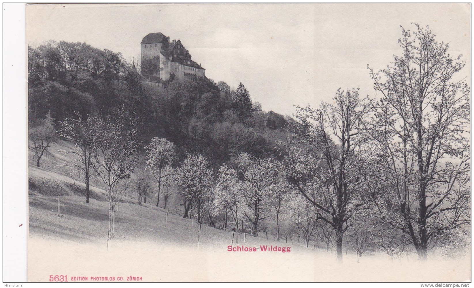 Schloss Wildegg (5631) - Wildegg