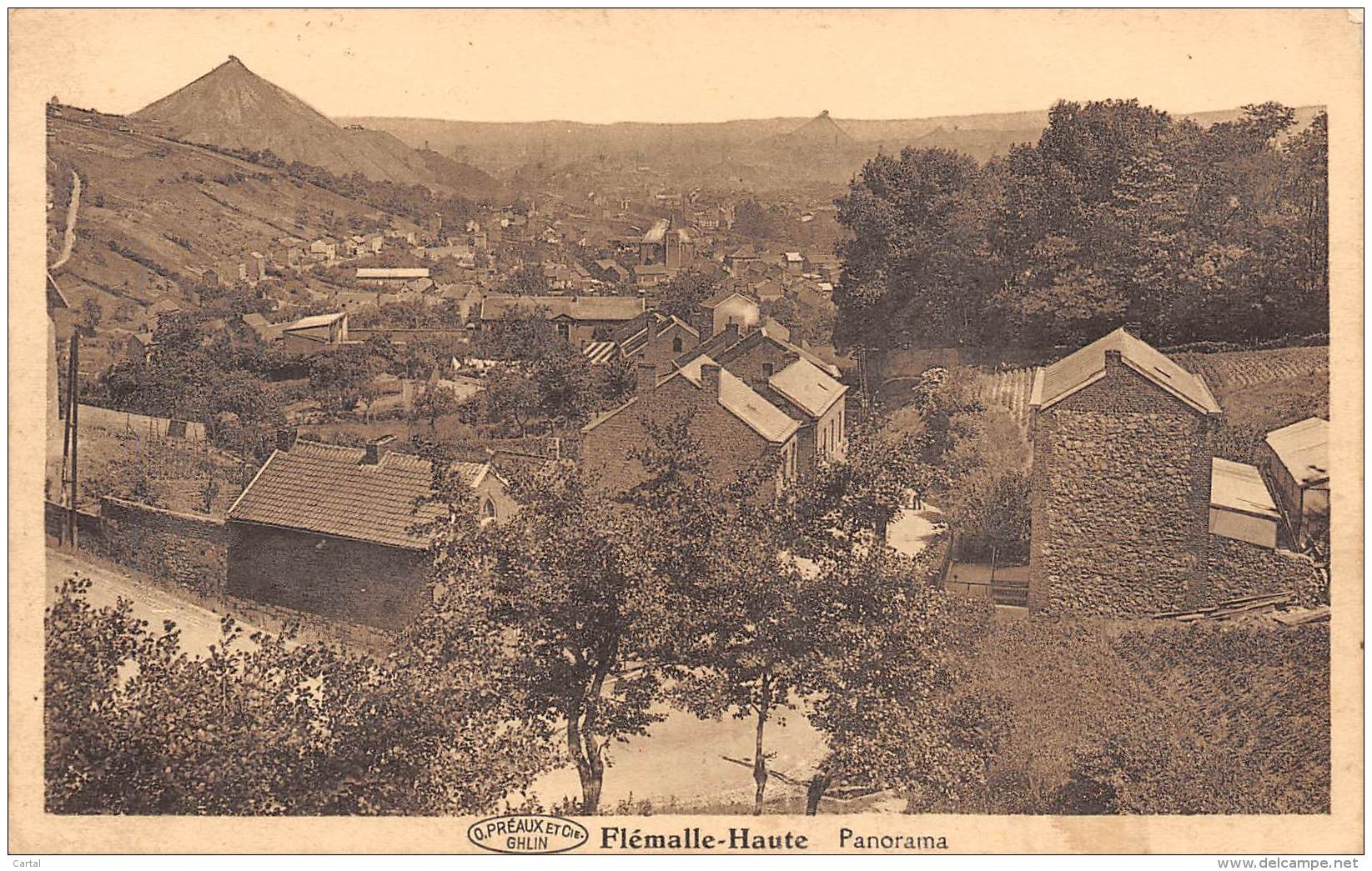 FLEMALLE-HAUTE - Panorama - Flémalle
