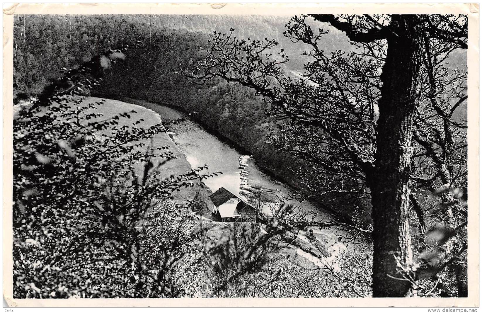 HERBEUMONT S/SEMOIS - Moulin Willaimes At La Semois (vus Du Château-Fort) - Herbeumont