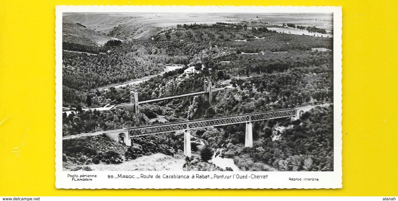 Route De Casablanca-Rabat Ponts Sur L'Oued-Cherrat (Flandrin) Maroc Afrique - Altri & Non Classificati