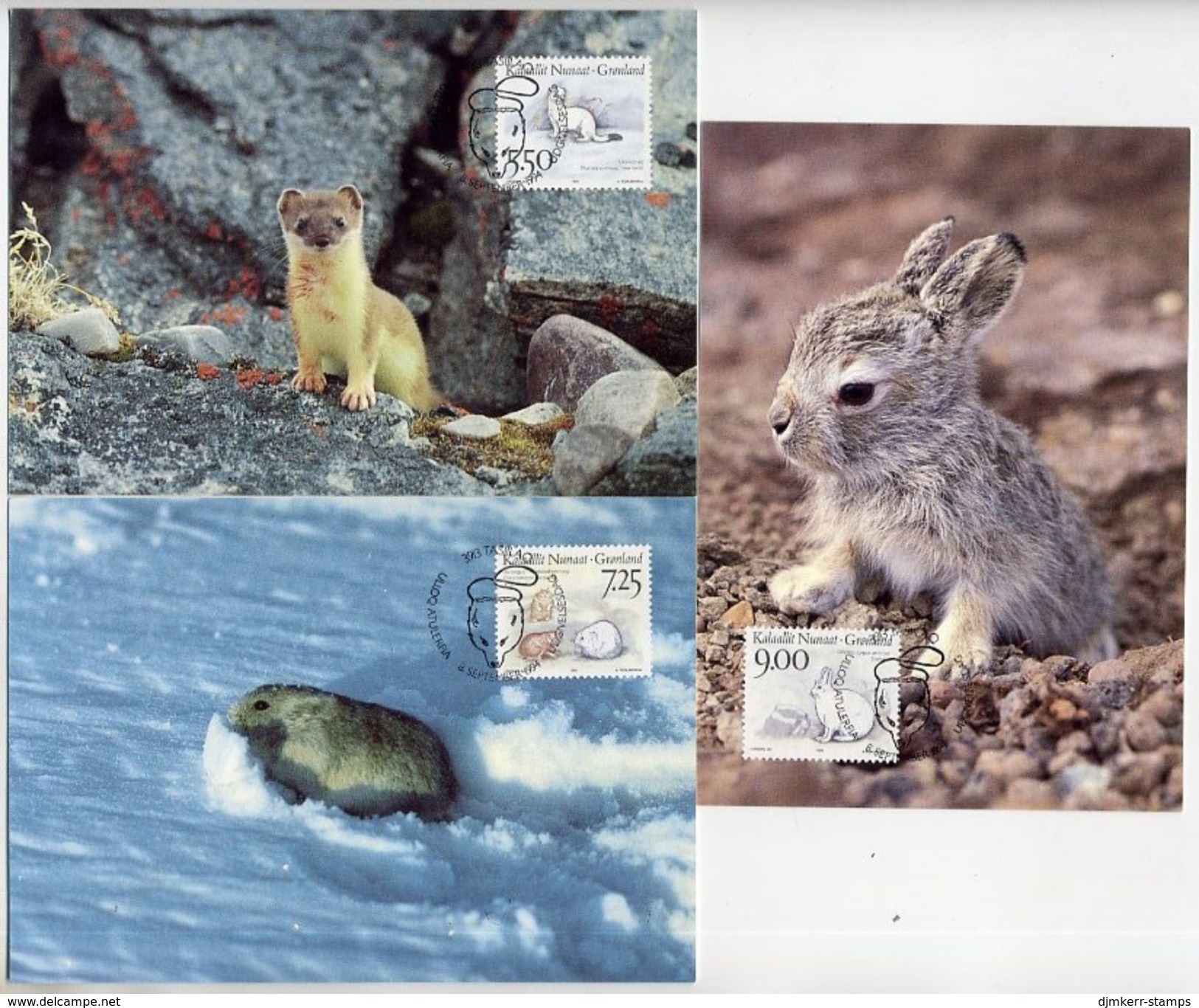 GREENLAND 1994 Native Mammals II On Maximum Cards.  Michel 249-51 - Cartas Máxima