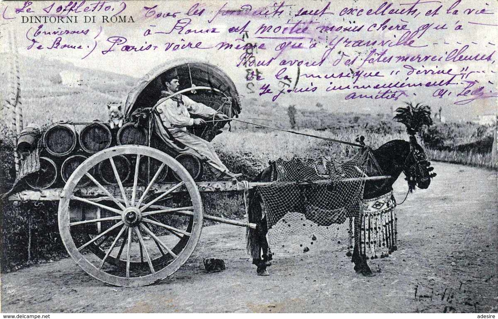 DINTORNI DI ROMA - Kutsche Mit Geschmücktem Pferd, Transport Von Fässer 1912 - Transportmiddelen