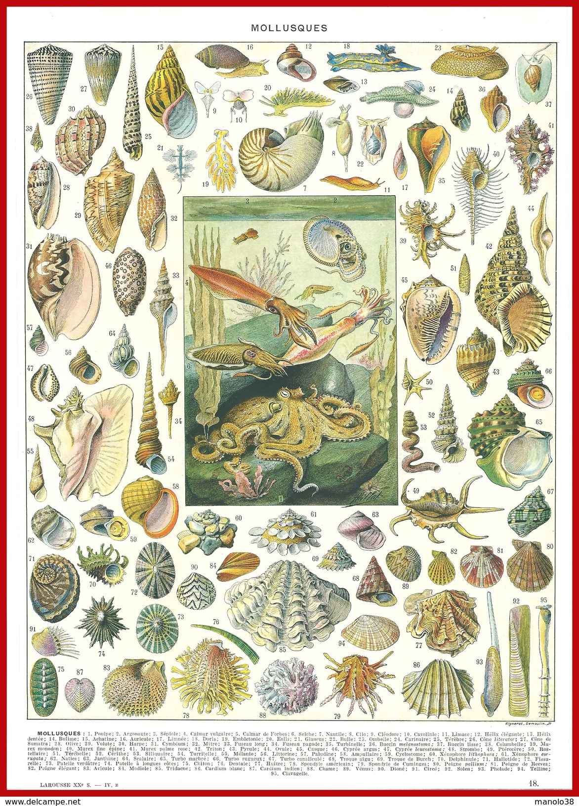 Mollusque Recto Et Culture, Pêche, Exploitation Des Mollusques Verso Larousse 1948 - Autres & Non Classés