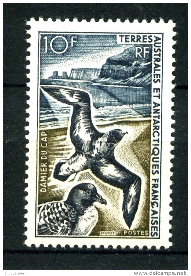 TAAF - 28 - 10 F Damier Du Cap - Neuf N** - Très Beau - Unused Stamps