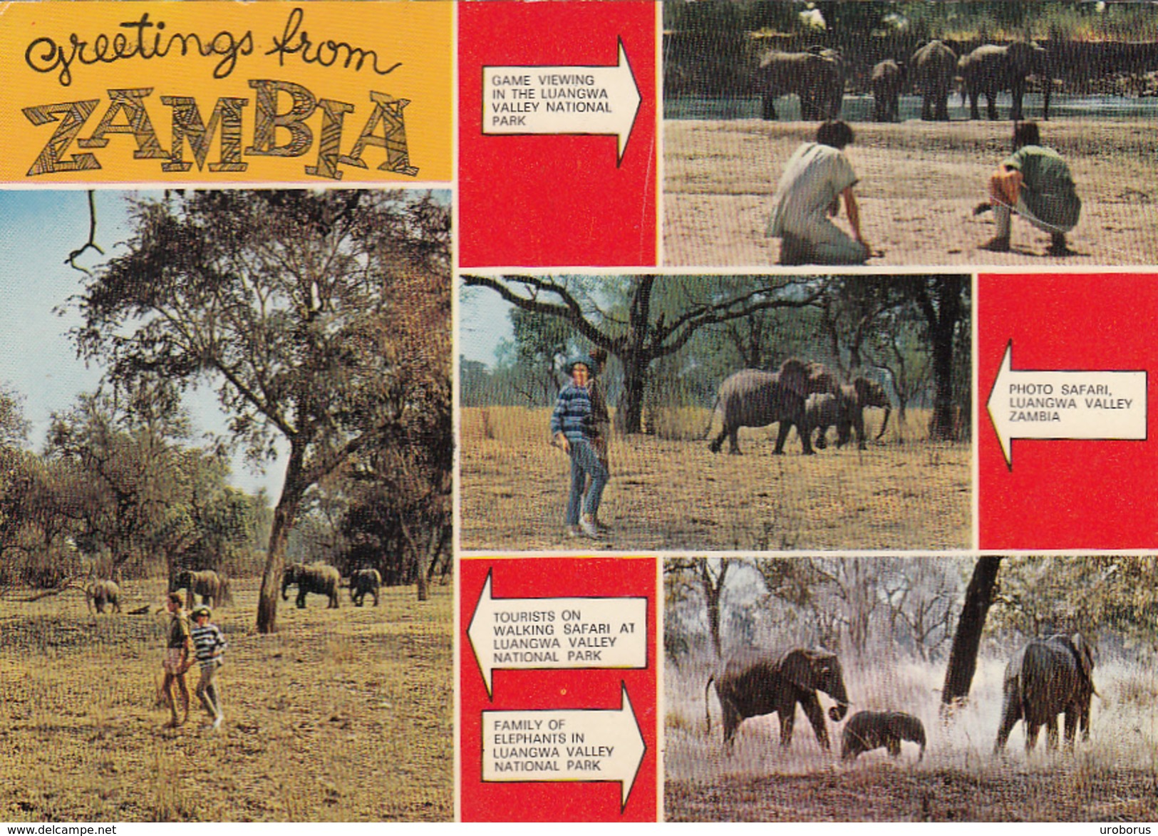 ZAMBIA - Greetings From Zambia - Luangwa National Park - Zambia