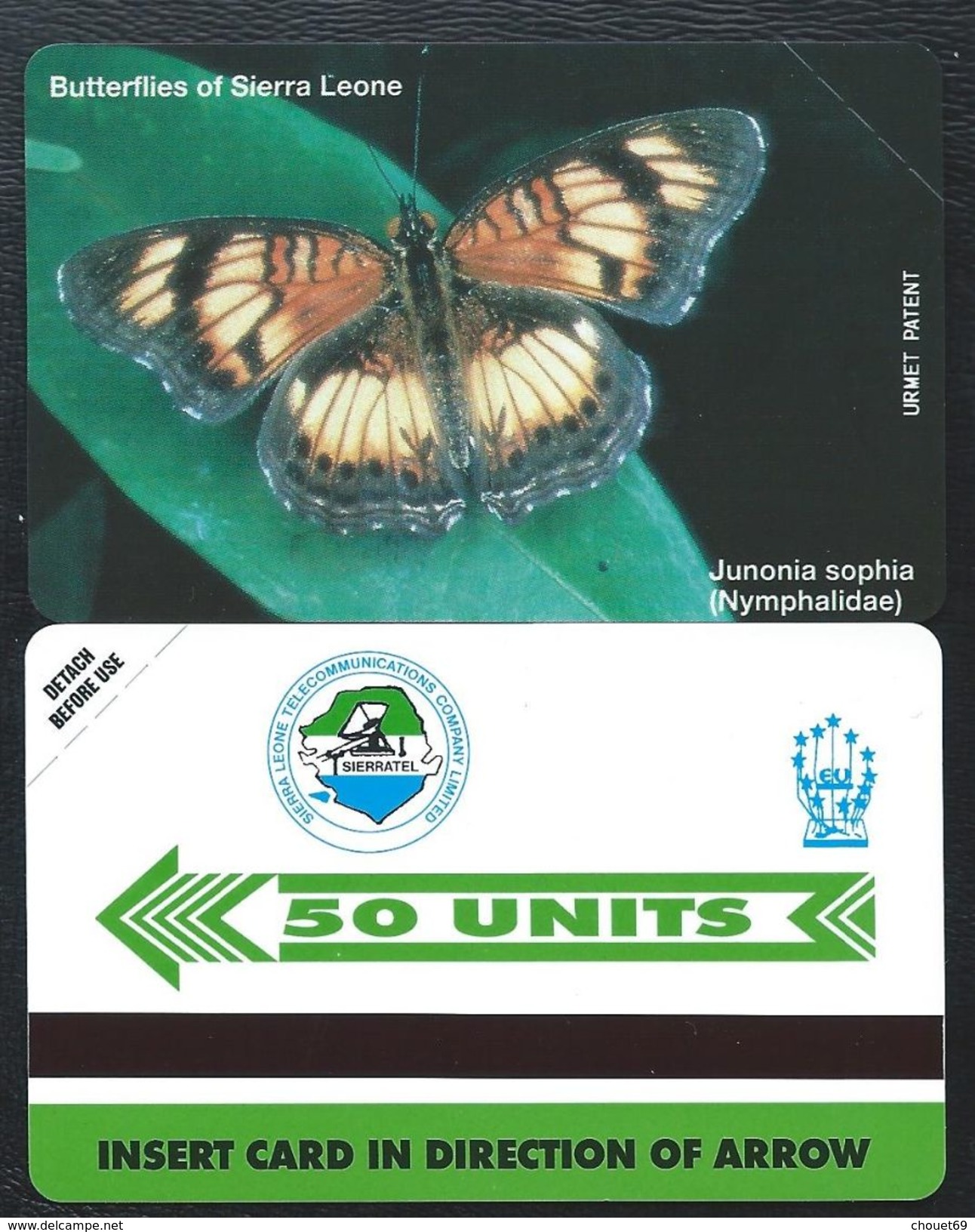 SIERRA LEONE 50u Papillon MINT NEUVE SLNTC URMET Butterfly Butterflies - Sierra Leona